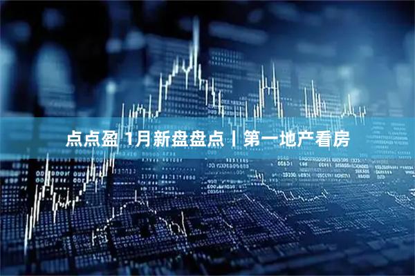 点点盈 1月新盘盘点丨第一地产看房