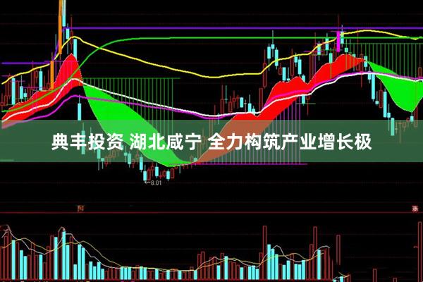 典丰投资 湖北咸宁 全力构筑产业增长极