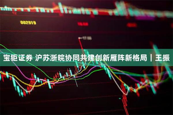 宝钜证券 沪苏浙皖协同共建创新雁阵新格局｜王振