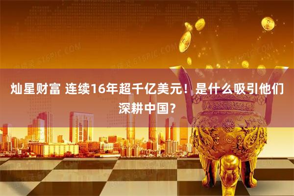 灿星财富 连续16年超千亿美元！是什么吸引他们深耕中国？