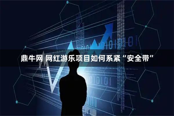 鼎牛网 网红游乐项目如何系紧“安全带”